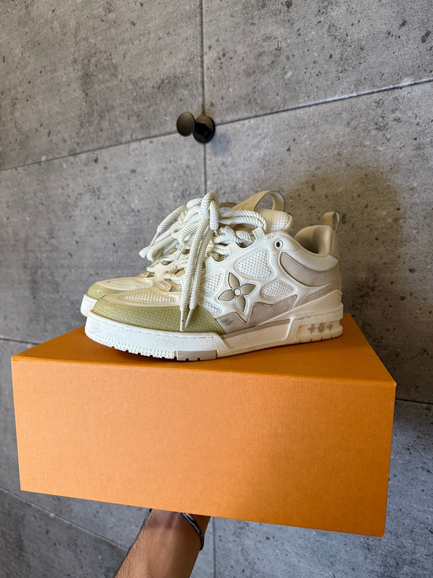 Louis Vuitton skate sneakers